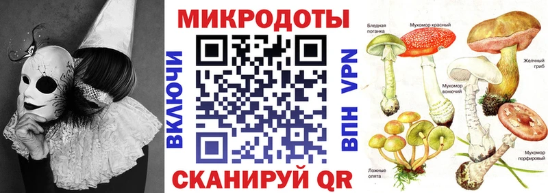 Галлюциногенные грибы мицелий  как найти наркотики  Вязники 
